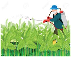 ✅ مؤثر فرٹیگیشن