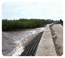 ماحولیاتی تبدیلی کا اثر